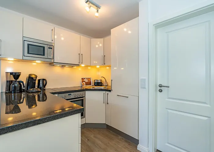 Austernfischer App 4 Westerland