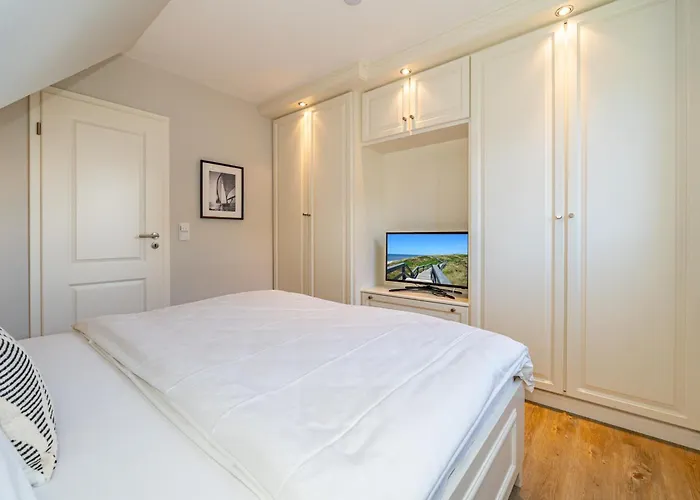 Austernfischer App 4 Westerland